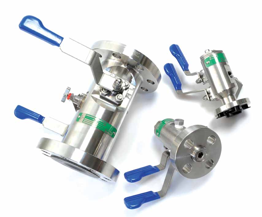 Manifolds med fläns