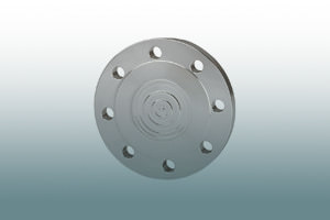 Flange type chemical seals