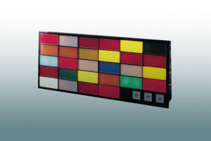 DFR30IS Intrinsically Safe Display Facia