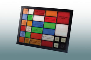 P725LO - Display Facia